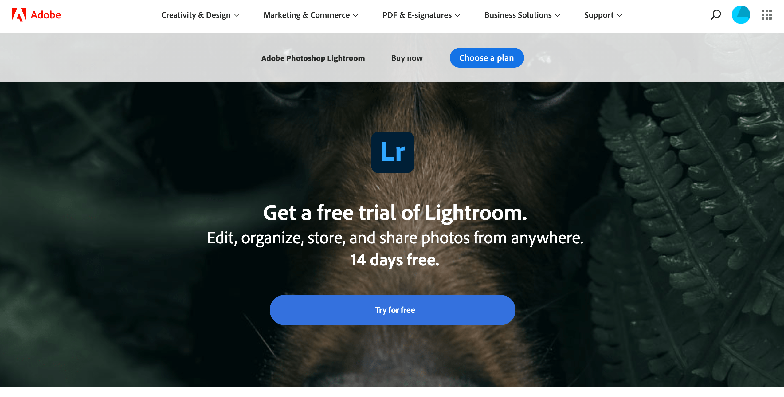 lightroom 3 download free trial